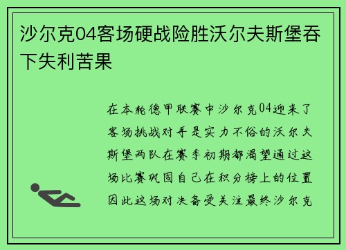 沙尔克04客场硬战险胜沃尔夫斯堡吞下失利苦果